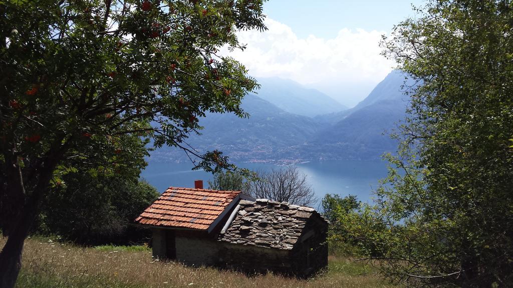 Lake Como View Apartement Allegro Acquaseria Phòng bức ảnh